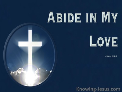 John 15:9 Abide In My Love (navy)